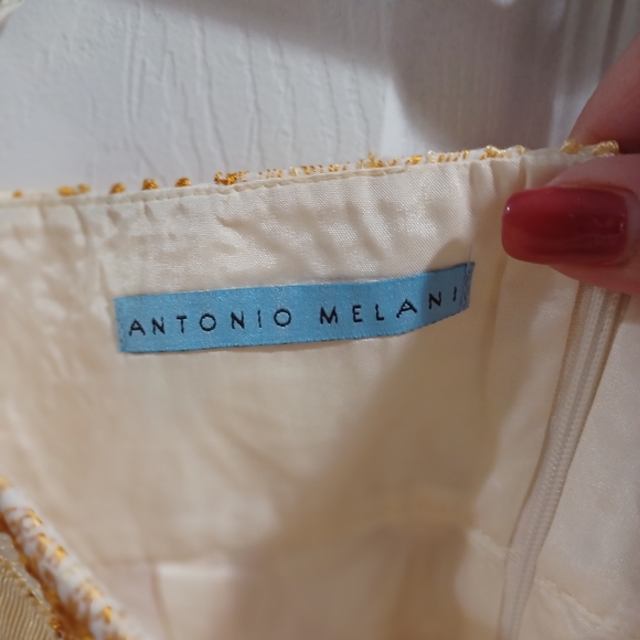 Antonio Melani Beautiful Cream and Gold Skirt - Picture 6 of 7